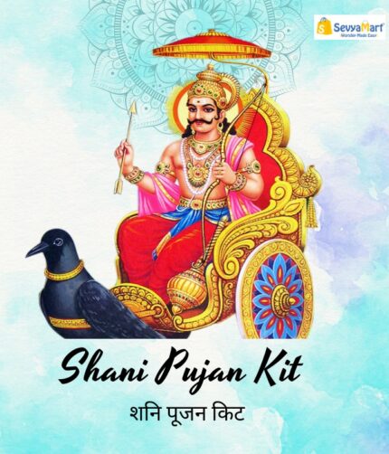 shani pujan kit